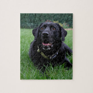 Customizable Black Labrador Retriever Jigsaw Puzzle