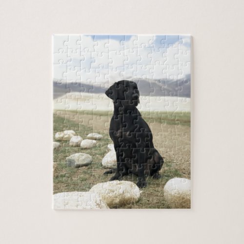 Customizable Black Labrador Retriever Jigsaw Puzzle