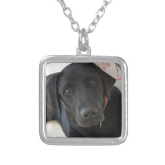 Customizable Black Labrador Retriever Silver Plated Necklace