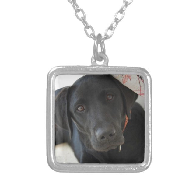 Customizable Black Labrador Retriever Silver Plated Necklace (Front)