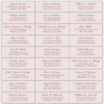 Customizable blush wedding guest address sticker<br><div class="desc">Easy to personalize,  names and addresses / individual wedding shipping address label stickers for guests. Blush pink color</div>