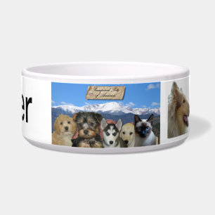 Customizable Bowl