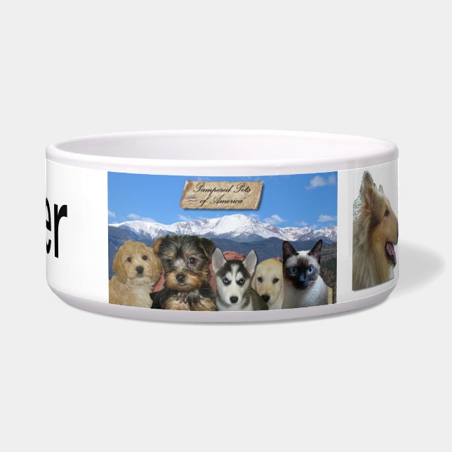 Customizable Bowl (Front)