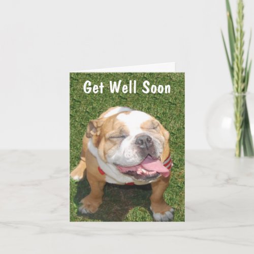 Customizable Bull Dog Get Well Card