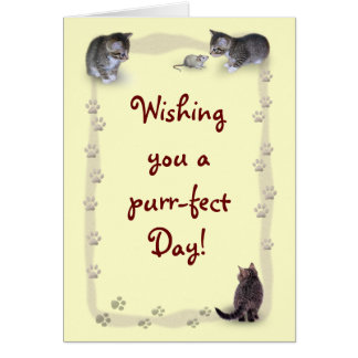 Customizable Cat Cards