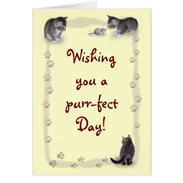 Customizable Cat Cards (Front)