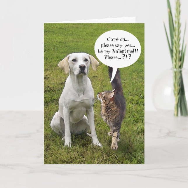 (Customizable) Cat & Dog Valentine Holiday Card (Front)