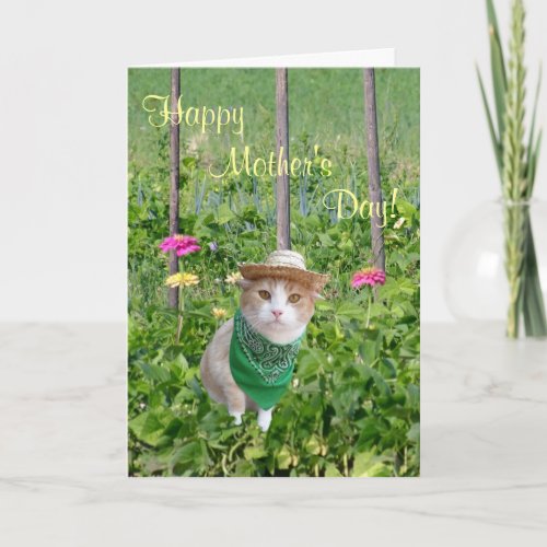 Customizable Cat Lover Mothers Day Gardener Card