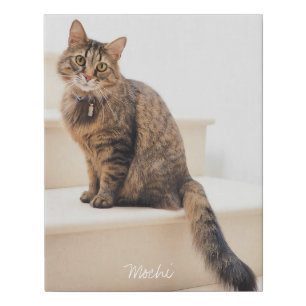 Customizable Cat Photo Template And Script Gift Faux Canvas Print