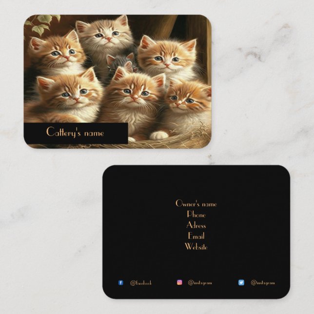 Customizable Cattery Business Card (Front/Back)