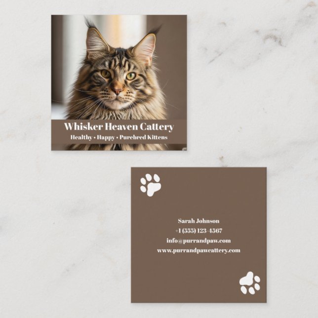 Customizable Cattery Business Card with Cat Photo  (Front/Back)