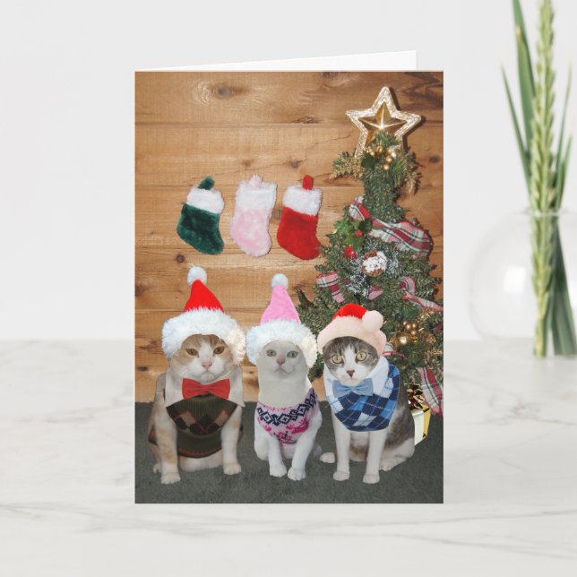 Customizable Christmas Cats/Kitties Argyle Sweater Holiday Card (Front)