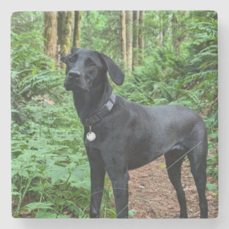 Customizable Coaster! Sip and stare at your pup Stone Coaster