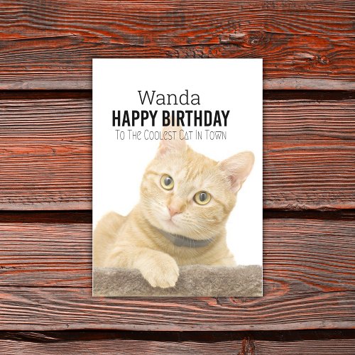 Customizable Coolest Cat Birthday Card