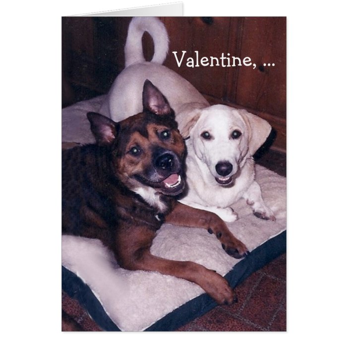 Customizable Cute Dogs Valentine Greeting Cards
