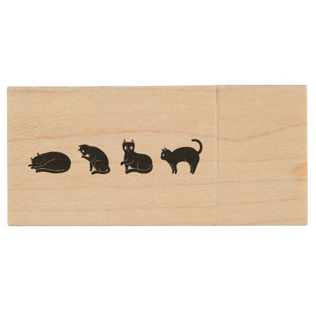 Customizable Cute Funny Black Cat Wood Flash Drive (Front)