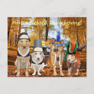 Customizable Cute Lab/Dog Pilgrims & Chiefs Holiday Postcard