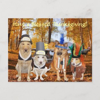 Customizable Cute Lab/dog Pilgrims & Chiefs Holiday Postcard by myrtieshuman at Zazzle