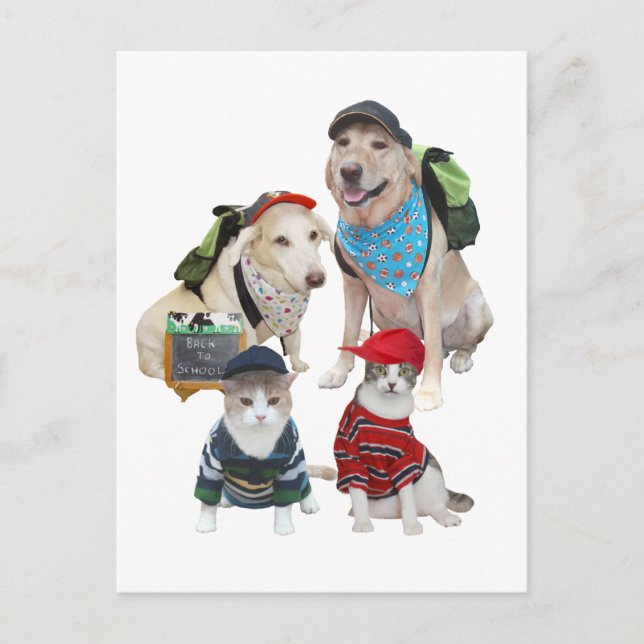 Customizable Cute Pets Postcard (Front)
