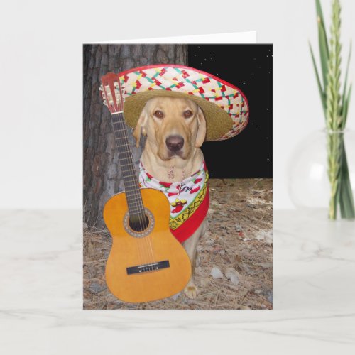 Customizable Cute Spanish Lab Valentine Holiday Card