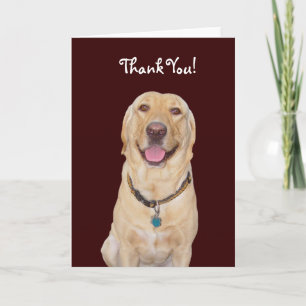 Customizable Dog/Lab "Thank You!" Thank You Card