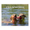 Customizable Dog Teamwork Poster