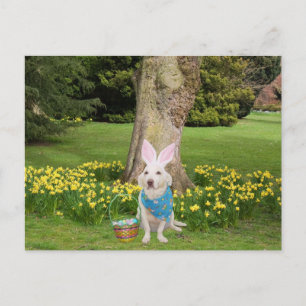 Customizable Easter Egg Hunt Invitation Postcard
