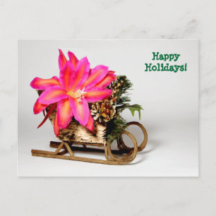 Customizable Epiphyllum Christmas Post Card