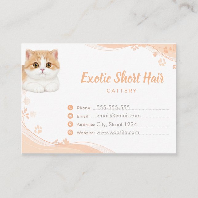 Customizable Exotic Shorthair Cattery  Business Card (Front)