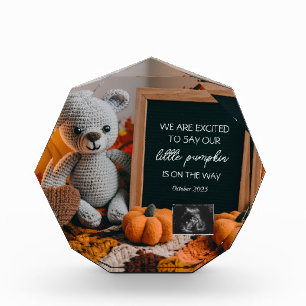 Customizable fallFall Pregnancy Announcement  Photo Block