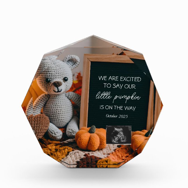 Customizable fallFall Pregnancy Announcement  Photo Block (Front)