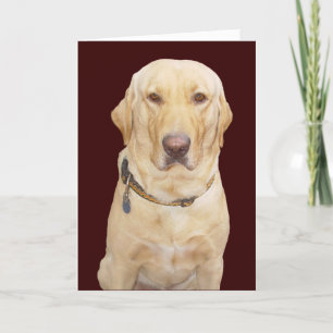 Customizable Father's Day for Father/Brother/Stepf Card