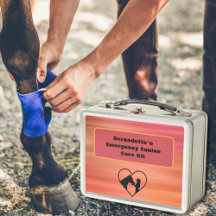 Customizable First Aid Equine Emergency Container