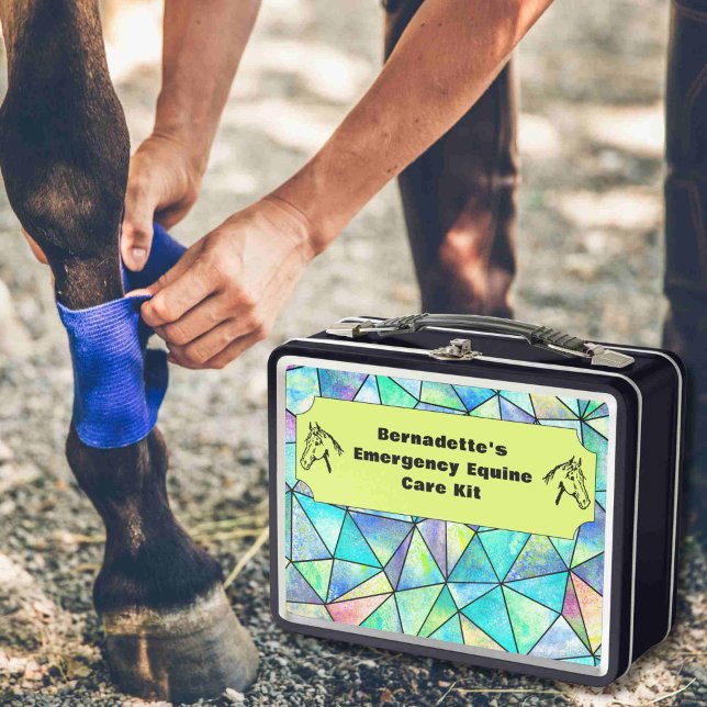 Customizable First Aid Equine Emergency Container Metal Lunch Box (Creator Uploaded)