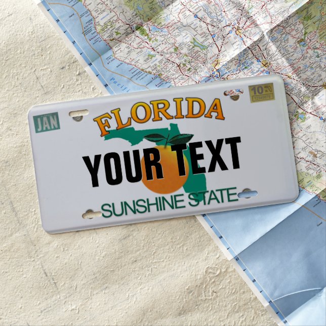 (Customizable) Florida License Plate (In Situ)