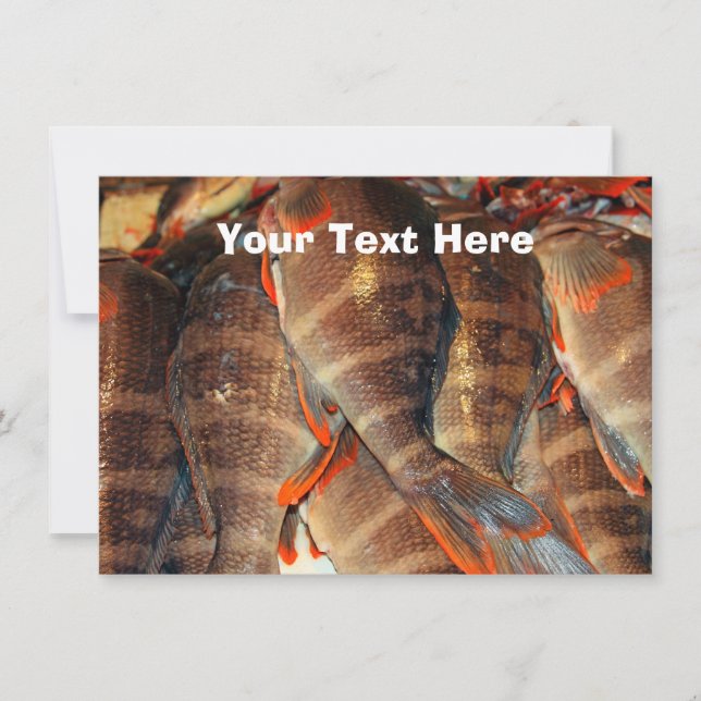 Customizable fresh fish Card (Front)