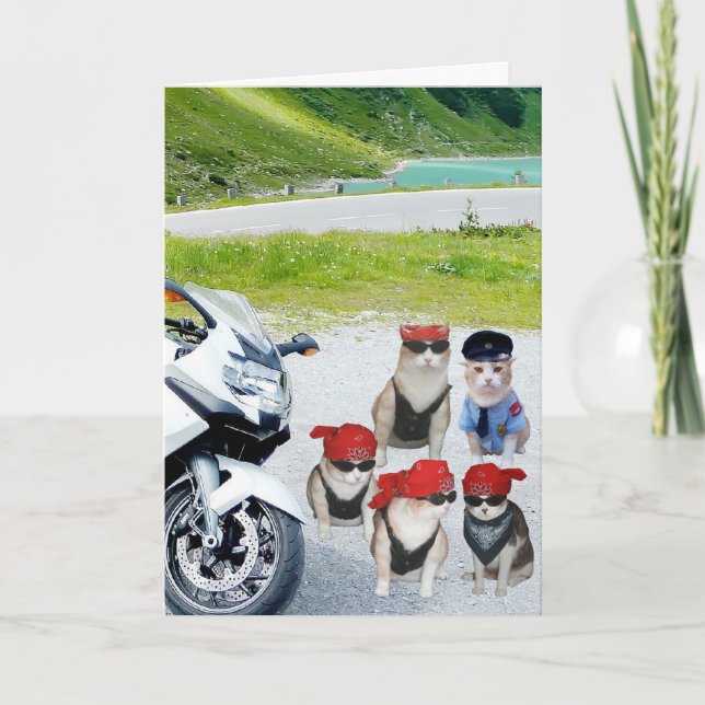 Customizable Funny Biker Cats Birthday Card (Front)