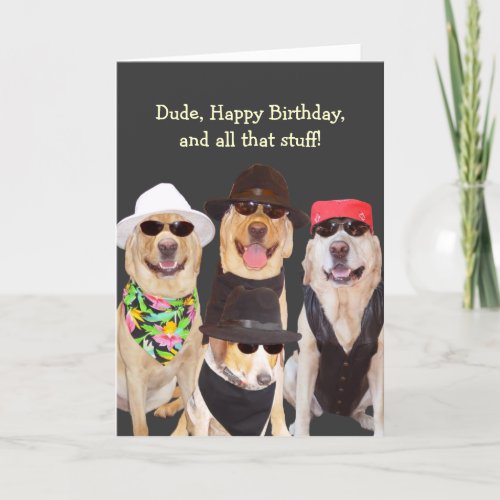 Customizable Funny Birthday Labs  cattle dog Card