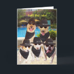 Customizable Funny Blues Dogs/Labs Birthday Card<br><div class="desc">Customizable funny greeting card with some very cool dogs all dressed like Blues Brothers.  You can change all of the text and change the fonts,  font sizes and colors.  The pool background on the front is part of a photo from publicdomainpictures.net.</div>