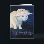 Customizable Funny Cat Birthday for Older Woman Card<br><div class="desc">Missy in her bonnet and pearls looking a tad annoyed.   You can customize all of the text,  change the fonts,  font colors and sizes.  I believe it is a humorous photo and that you could think of a lot of funny ideas for text.</div>