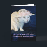 Customizable Funny Cat Birthday for Older Woman Card<br><div class="desc">Missy in her bonnet and pearls looking a tad annoyed.   You can customize all of the text,  change the fonts,  font colors and sizes.  I believe it is a humorous photo and that you could think of a lot of funny ideas for text.</div>