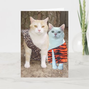 Customizable Funny Cat Birthday Or Anniversary Card by myrtieshuman at Zazzle