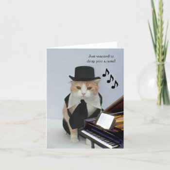 Customizable Funny Cat Card by myrtieshuman at Zazzle