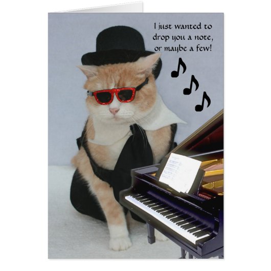 Customizable Funny Cat Cards (Front)