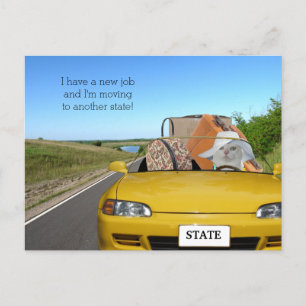 Customizable Funny Cat/Kitty Moving Announcement Postcard