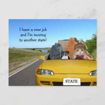 Customizable Funny Cat/kitty Moving Out Of Town Announcement Postcard by myrtieshuman at Zazzle