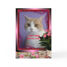 Customizable Funny Cat Valentine