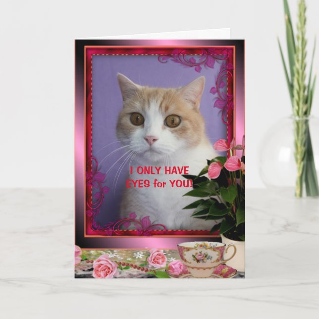 Customizable Funny Cat Valentine Card (Front)