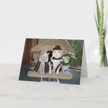 Customizable Funny Cats Anniversary Classy Couple Card by myrtieshuman at Zazzle