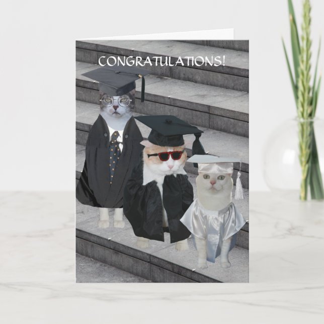 Customizable Funny Cats/Kitties Graduation Card (Front)